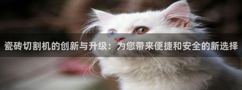 和记娱哪个位置h88285官网