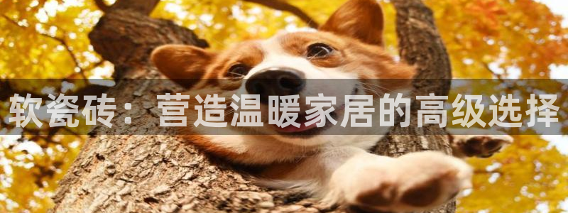 缅甸和记国际官网