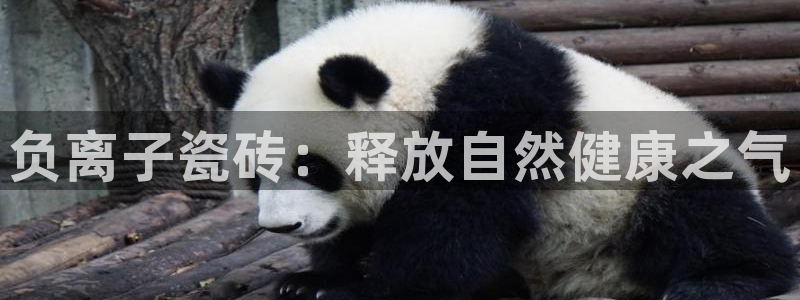 和记官网手机版