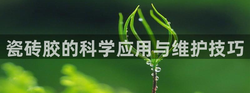 香港和记3电讯官网