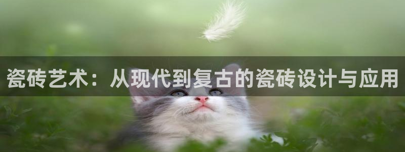 和记娱安全h88285官网