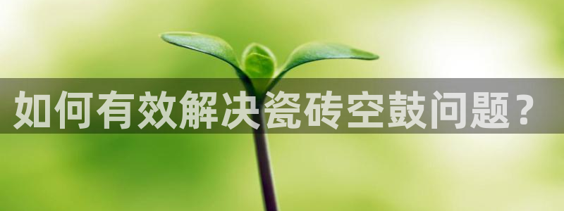 和记官网官网入口