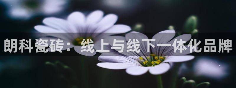 桃源记九游和官网