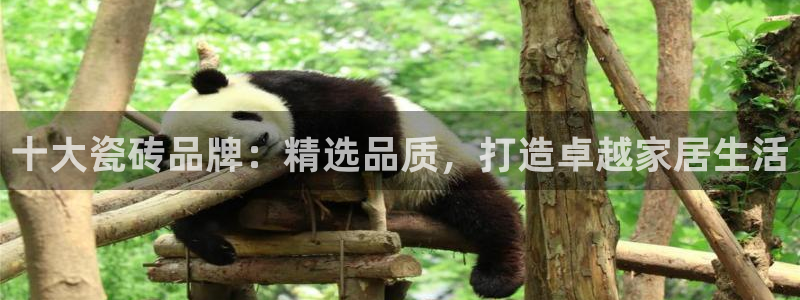 和记h88官网登陆