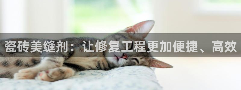 和记娱官网h88285怡情