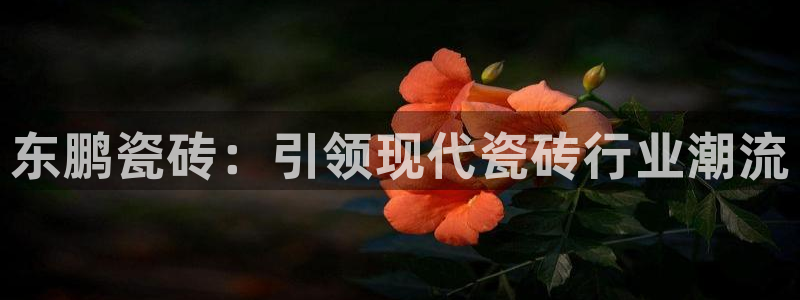 和记娱乐场所官网