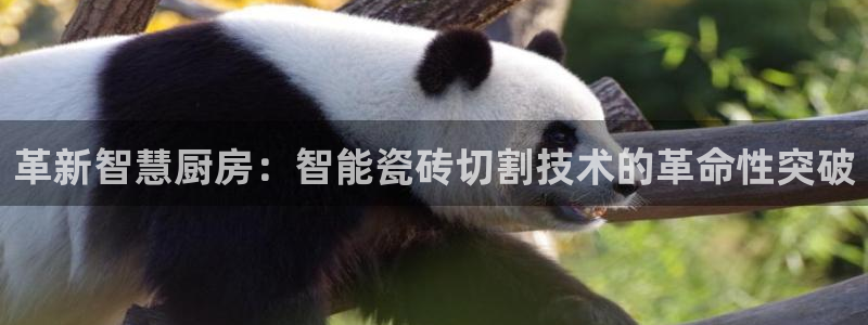 和记娱乐怡情博官网