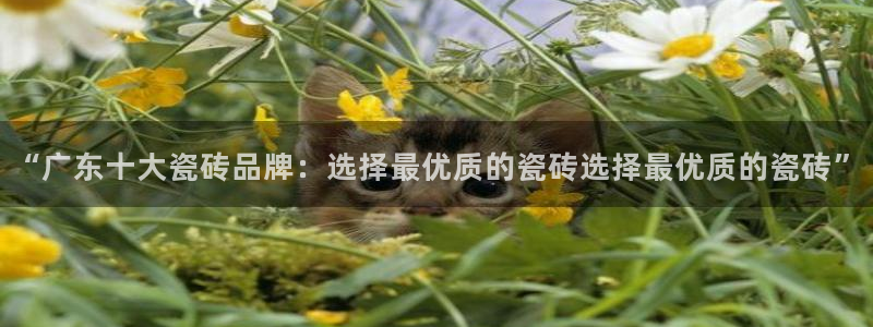 和记官网官网入口