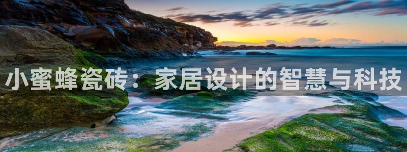 和记h188怡情官网