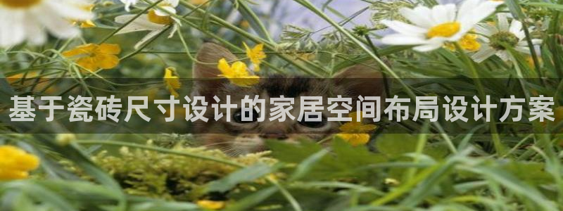 和记黄埔 成都 官网