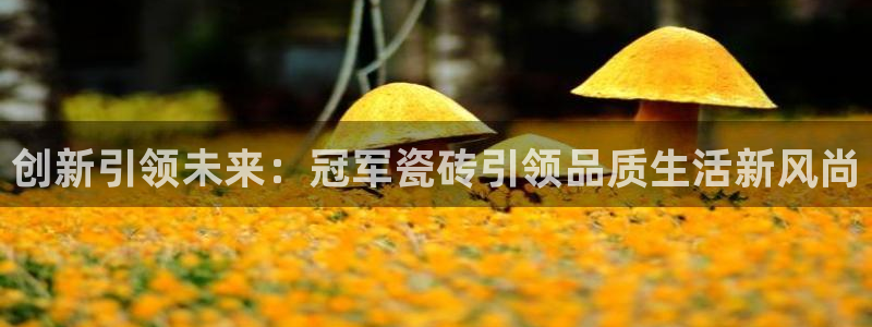 和记平台网站官网