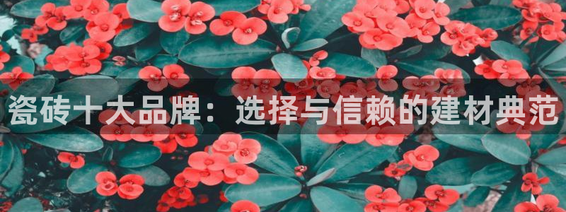 和木记手帕官网