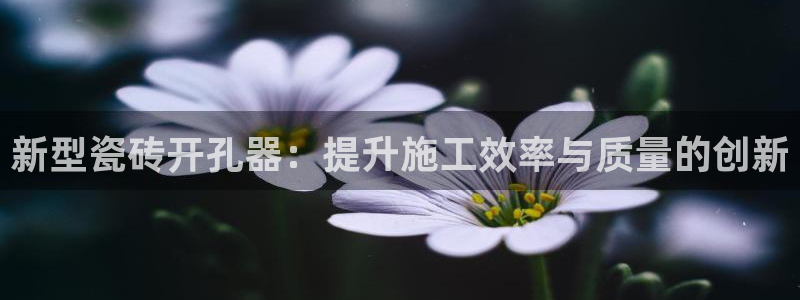 和记平台网站官网