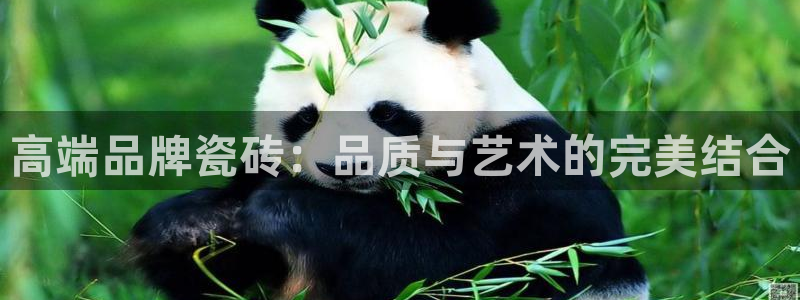 重庆和记黄埔官网