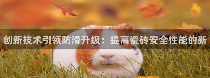 和记官网app是谁的