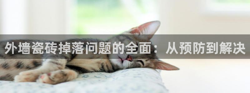 和记国际平台官网