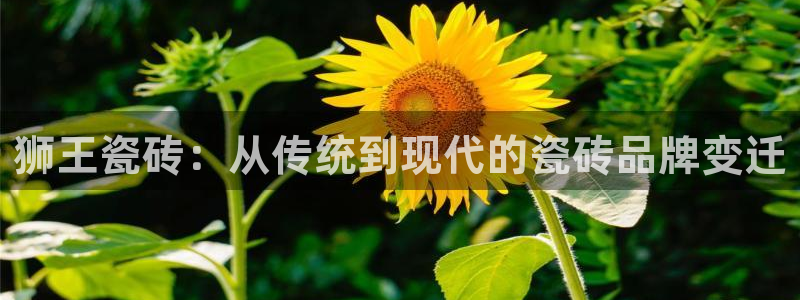 重庆和记黄埔官网